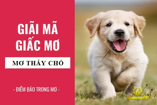 Cùng vando88.in tìm hiểu những điều bí ẩn đằng sau giấc mơ này nhé!