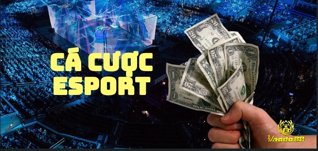 Cùng nhà cái Vando88 tìm hiểu về cá cược Esport nhé