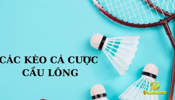 Hãy cùng Vando88 tìm hiểu kỹ hơn về các loại hình kèo có trong cá cược cầu lông