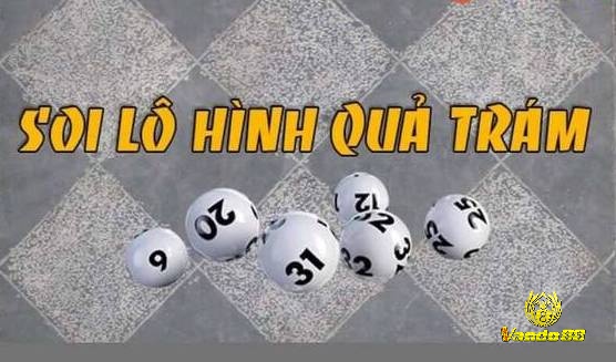 Nuôi bạch thủ lô khung 2 ngày miễn phí theo soi cầu lô quả trám