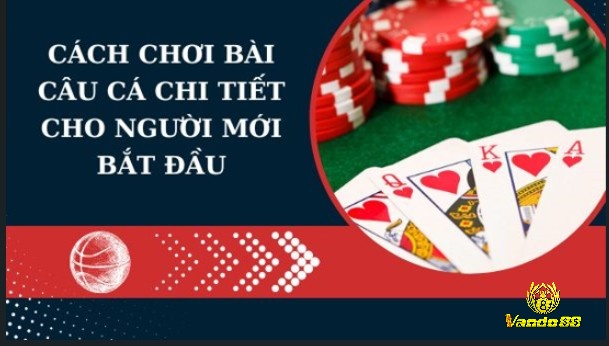 Cách chơi bài câu cá mà anh em cần nắm để trải nghiệm dễ dàng hơn