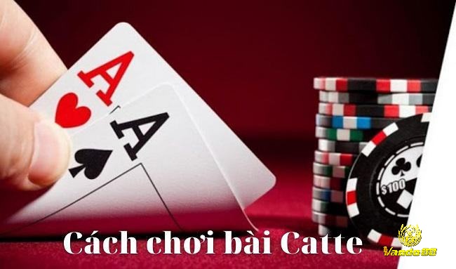 Cùng Vando88 hướng dẫn chi tiết cách chơi bài Catte đơn giản cho người mới