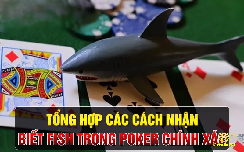 Đặc điểm của một Fish trong Poker mà anh em cược thủ cần nắm